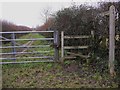 Footpath off Chinthurst Lane in Shalford