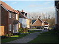 Path to Amber Lane