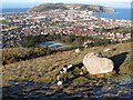 Erratic boulders 1