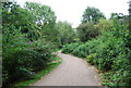 Footpath through Whatman Park