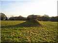 Another tumulus