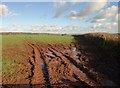 Muddy field entrance near Halsegate Cross