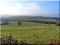 Field and view from farm track entrance, near Pen y Cae-Mawr