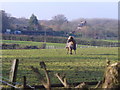 Meadows by Rickwood Farm