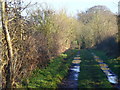 Footpath by Westwood Place, Wyke