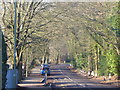 School Lane, Wyke