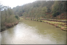 SO5074 : River Teme, downstream from Dinham Bridge by N Chadwick
