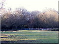 Footpath, Stoborough Green