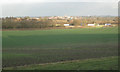 Shadow of Ardenhill Spinney across a field