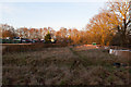 Scrap yard and herpetological fencing at Burridge