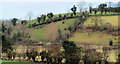 Fields near Shrigley (2)