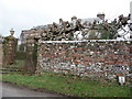 Frome St. Quintin: wall and hedge