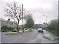 Norman Avenue - viewed from Bolton Crescent