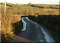 Lane east of Filleigh