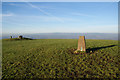 The top of Mellor Moor