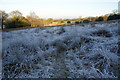 Frosted field below Mellor Moor