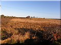 Lurganboy Townland