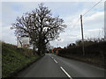 Approaching the turn-off to South Walsham on the B1140