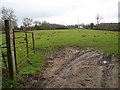 Field beside the railway line, Attleborough