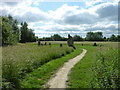 Bicester Footpath off London Road