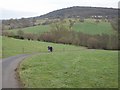 Bridleway, Painswick