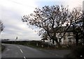 House on Garstang Road