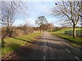 An avenue in Bowling Park