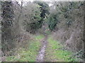 Bridleway, Codford St Mary