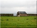 Shed with sheep, Hillend