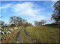 Track leaving Mearbeck