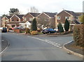 Meadowlands Close houses, Parc Seymour