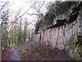 Limestone cliff by the Wharfe