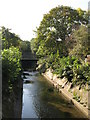 The River Ravensbourne south of Brangbourne Road, BR1