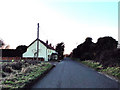 Road into East Harling