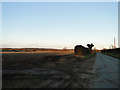 Muddy field entrance near Harling Farm