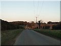 Quidenham Road, long and straight into the setting sun