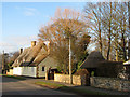 Great Wilbraham: winter trees and sunlit thatch