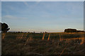 Evening light on Wilpshire Golf Course