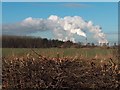 Drax Power Station seen across a hedge and field on the outskirts of Goole