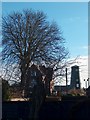 View of Timms Windmill, Goole