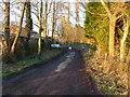 Peat Farm entrance on Lindow Moss