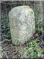 Benchmark on the 49 miles from London milestone beside the A40 near Holton