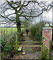 Public footpath, towards Row of Trees, Wilmslow, Cheshire