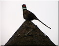 Thatch decoration, Codford St Mary