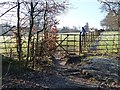 Footpath and gate