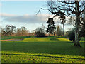 Fourteenth green, Coulsdon Court Golf Club