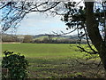 Field, looking across the Usk valley