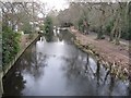 Towards Pirbright Bridge