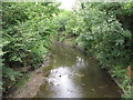 The River Ravensbourne south of Ladywell Bridge