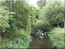 TQ3774 : The River Ravensbourne in Ladywell Fields (2) by Mike Quinn